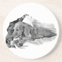 Dutch Hound Resting – Graphic Coaster
