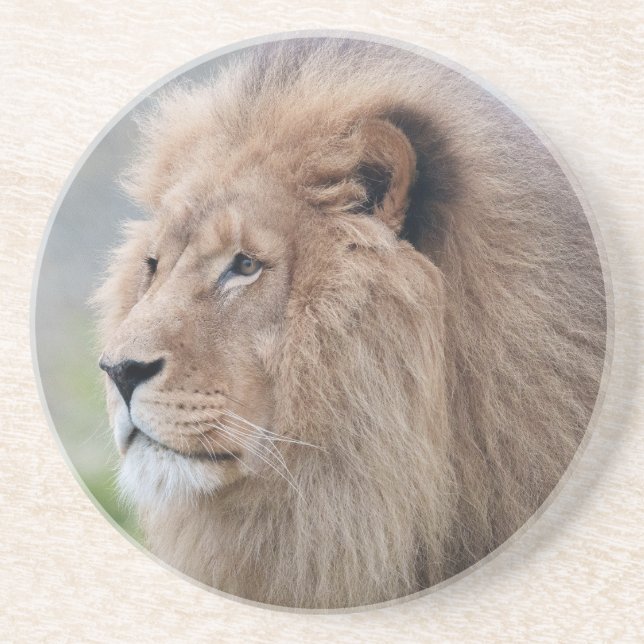 Porta-copos Embraço do Leão (Frente)