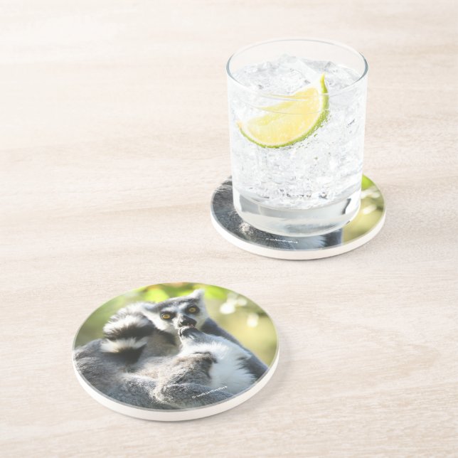 Porta-copos Engraçados lêmures surpreendidos de Madagáscar (Lateral)