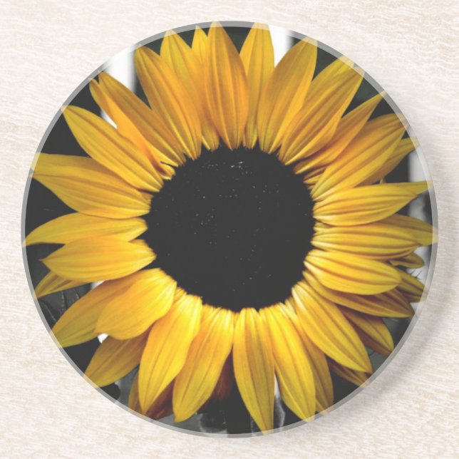 Porta copos ensolarada (Frente)