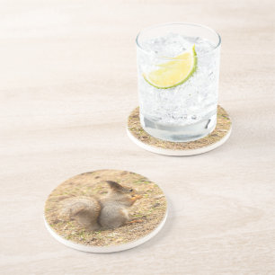 Porta-copos Esquilo bonito come uma foto de noz