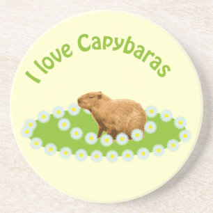 Porta-copos Eu amo os Carrinhos de Rolimã do Capybaras