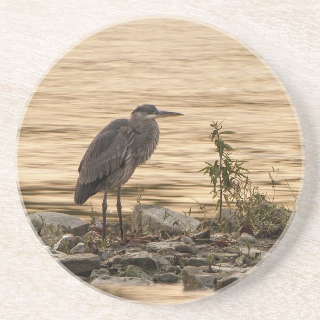 Porta-copos Excelente Blue Heron (Frente)