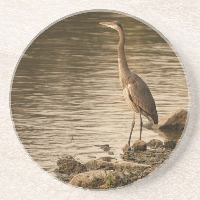 Porta-copos Excelente Blue Heron (Frente)
