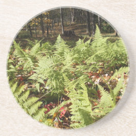 Porta-copos Fall Ferns