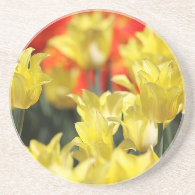Porta-copos Falln Floral Summer Glow (Frente)