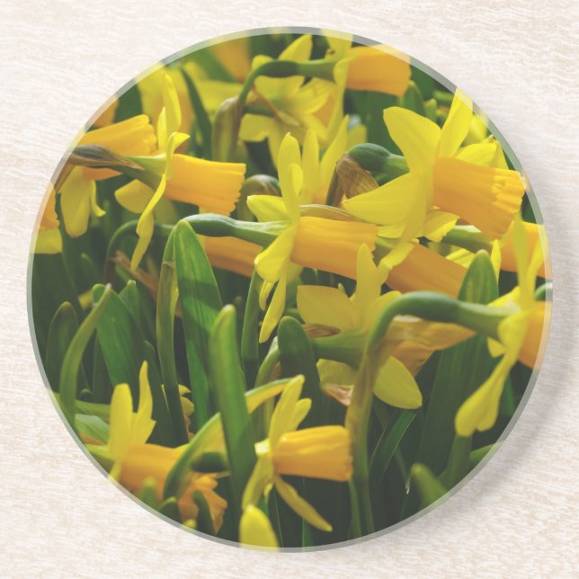 Porta-copos Família Daffodil (Frente)