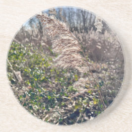 Porta-copos Feliz outono.