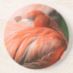 Porta copos Flamingo
