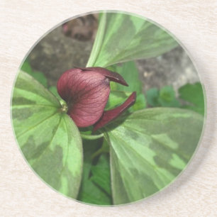 Porta-copos Flor