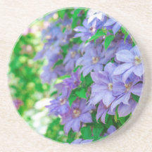 flor de Clematite Roxa