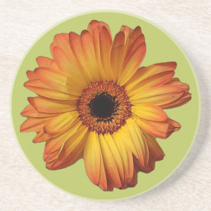 Porta-copos Flor de gerbera-laranja-ensolarada