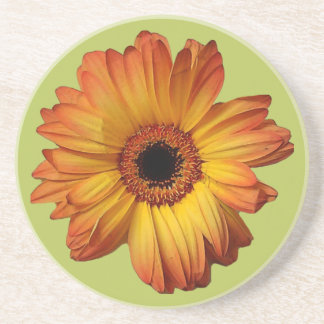 Porta-copos Flor de gerbera-laranja-ensolarada