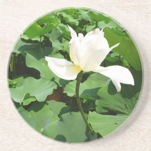 Porta-copos Flor de Lotus Branco