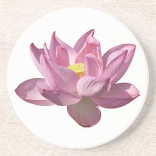 Porta-copos Flor de Lótus Rosa IV