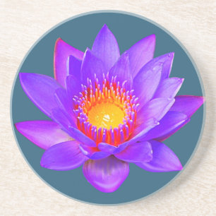 Porta-copos Flor de Lótus Violeta em Pires Azuis
