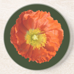 Porta-copos Flor Laranja Brilhante