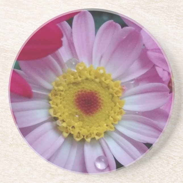 Porta-copos Flor rosa e amarela (Frente)