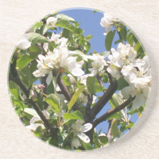 Porta copos floral de florescência dos ramos