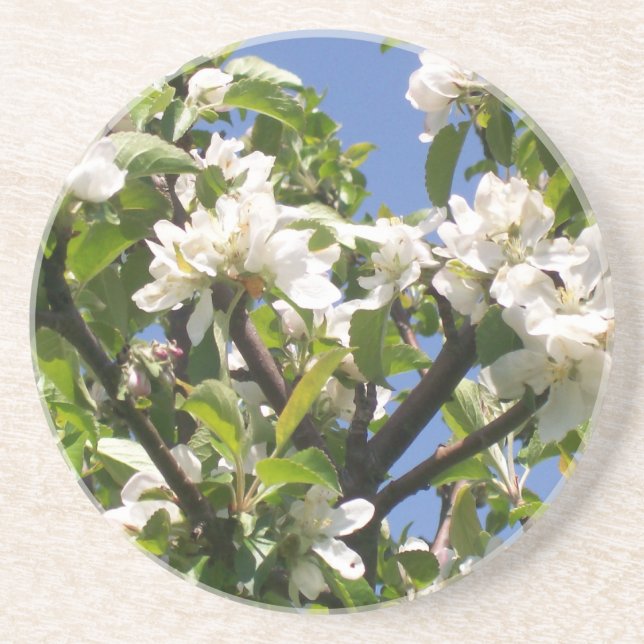 Porta copos floral de florescência dos ramos (Frente)