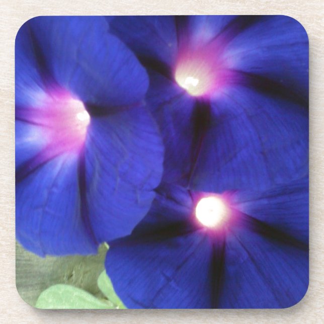 Porta copos Floral Puro (Frente)