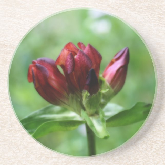 Porta copos Floral Red Gentian (Frente)