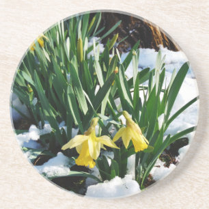 Porta-copos Flores amarelas Daffodils na neve