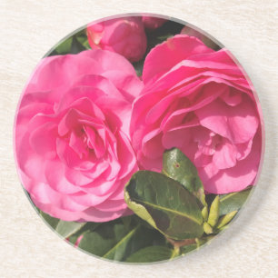 Porta-copos Flores de Camellia cor-de-rosa-escuro