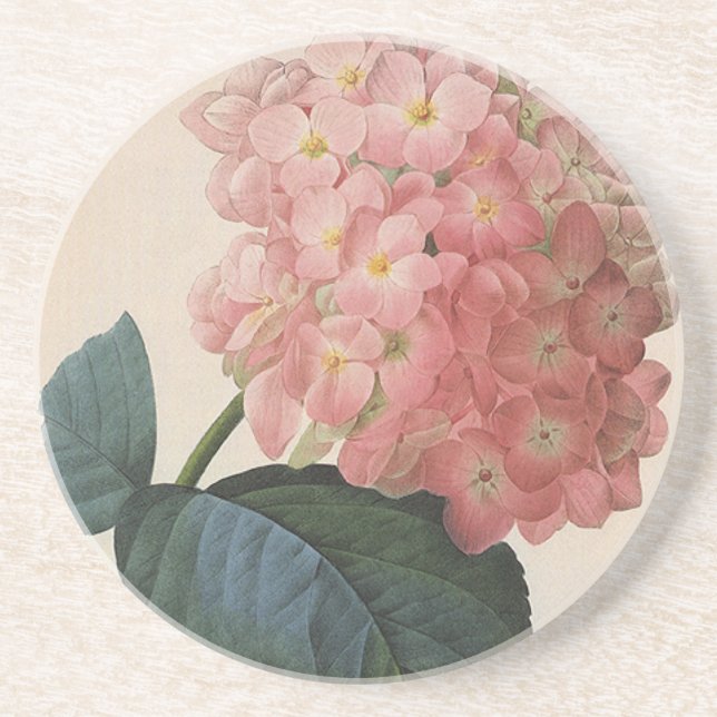Porta-copos Flores de Jardim Antigo, Hortênsia Hidrangea Rosa (Frente)