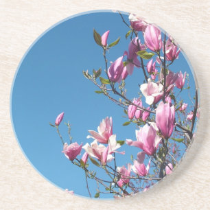 Porta-copos flores roxas e cor-de-rosa, magnólia, céu azul