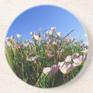 Porta copos - Flores selvagens