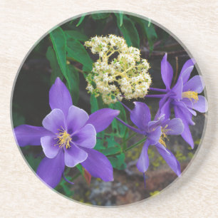 Porta-copos Flores Silvestres Mutantes Columbine