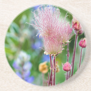 Porta-copos Flores Silvestres Prairie Smoke em Aspen Grove 2