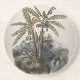 Porta-copos Floresta Antiga de Bananeiras Tropicais   Bota Vin