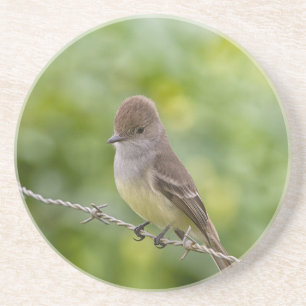 Porta-copos Flycatcher