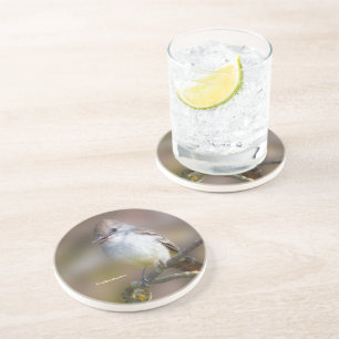 Porta-copos Flycatcher sorridente e ameaçada de cinzas no ramo