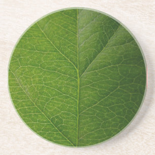 Porta-copos Folha Verde
