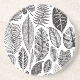 Porta-copos Folhas exóticas, preto e branco floral vintage.