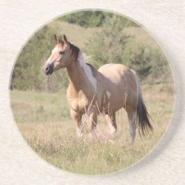 Porta-copos Foto de cavalo Tobiano Buckskin posando no pasto