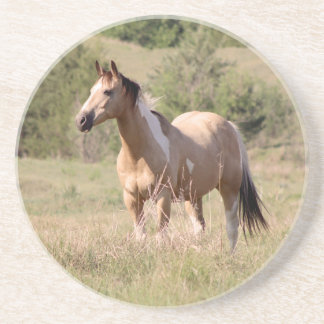 Porta-copos Foto de cavalo Tobiano Buckskin posando no pasto