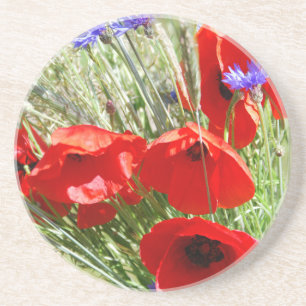 Porta-copos Foto do Red Poppy, Cottage Garden