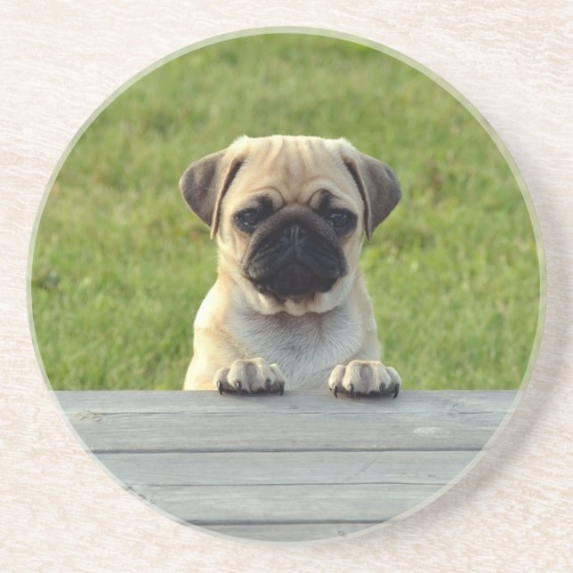 Porta-copos Foto Fofa de Cachorrinho Pug (Frente)