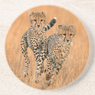 Porta-copos Funcionamento novo das chitas (Acinonyx Jubatus)