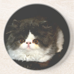 Porta-copos Gatinho preto e branco