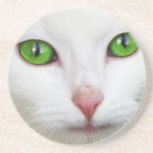 Porta-copos Gato Branco com Olhos Verdes Emerald