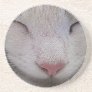 Porta-copos Gato Dormindo