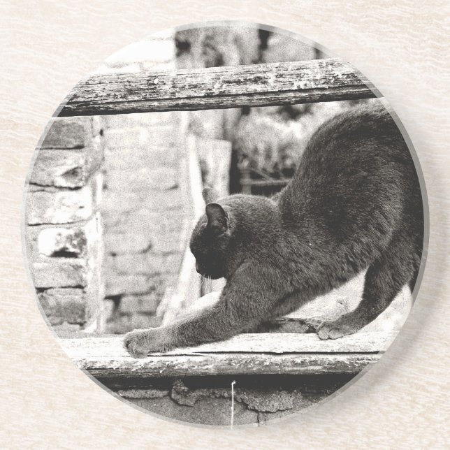Porta-copos gato esticando (Frente)