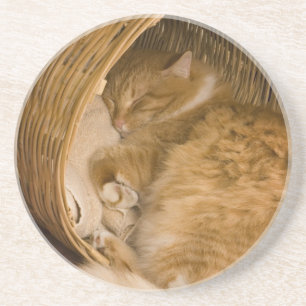 Porta-copos Gato laranja dormindo na cesta