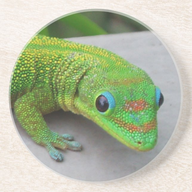 Porta copos Gecko Dourada para o dia da poeira (Frente)