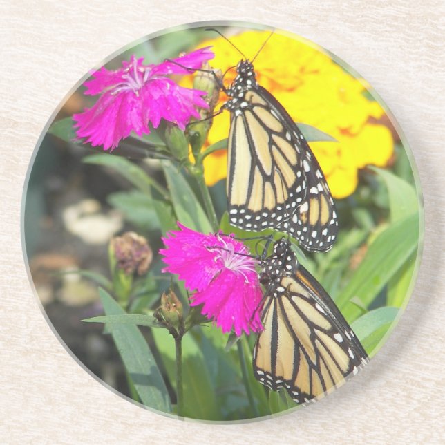 Porta-copos Gêmeos Monarcas #2-porta copos (Frente)